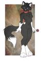 #2 15$ IRON ARTIST for Sorakitty 