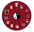 YEAR OF THE RABBIT by wpreventer