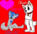 Puppy Love by SilverWolf163