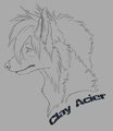 Sketch- Clay Acier
