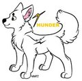 Thunder Badge