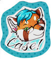 Case Badge