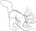 Pose Practice