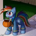 dashie trick or treat
