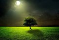 The Edge Under The Moon (piano version) by Blackwervolk