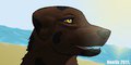 Fun in the sun! by Neelix