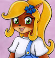 Coco Bandicoot Coloured