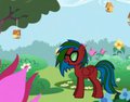 Sonia Dash by DarkShadow2k7