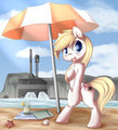 Aryanne's Vacations