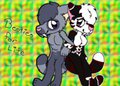 ☆ Cutest Kitties ☆