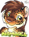 Namarel Badge - AC2014