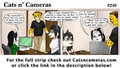 Cats n Cameras Strip #240 - All Wrapped up!