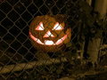 Happy Hollowed-een