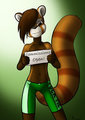 Commissions open!