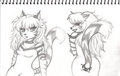 Tigress Sketches 1