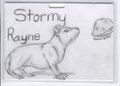 Feral Stormy by stormyrayne