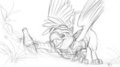 Wheee~