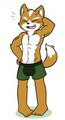 Fox by Oob