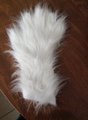 Chantal's Paw