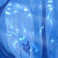 Where the Wisps Play by sonadowfan