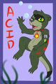 Acid Otter Pinup