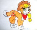 Canine Jack 