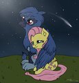 Stargazing