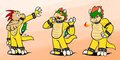 Bowser Costume by Immelmann