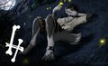 Fireflies by bmpfurry