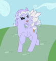 Cloudline Dasher by CloudlineDasher