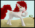 Oklahoma The Pony Dancer
