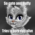 Ashfur Meme by SwayingSerenity