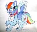 Now is Rainbow Bark