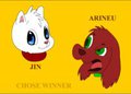 JIN VS ARINEU