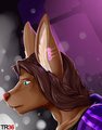 Warriors of the Ark: Civilian Night Life