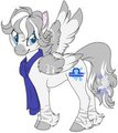 MLP Transformation: Autumn Tora