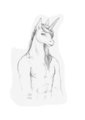 Murchadh by Chaotikat