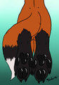 Foxy Paws by ZaronNaku