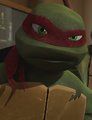 TMNT: Book Covers: Chapter Six