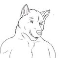 Generic canine