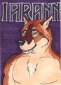 New Badge!