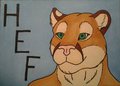 Suit badge by Iarann