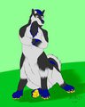 Beau by Iarann