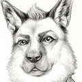 Crime Fightnin' K-9 by solarscape