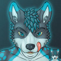 NovaCWolf Icon