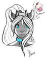 Stream Sketches