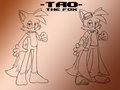 Commission 053