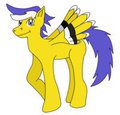 Scribe Feather By MaxxyRaccoon by scribeFeather