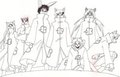 A part of the Furry Akatsuki