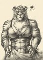 Tigurl by fatdrake